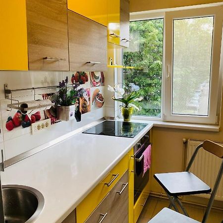 City Center Apartment Timişoara Extérieur photo
