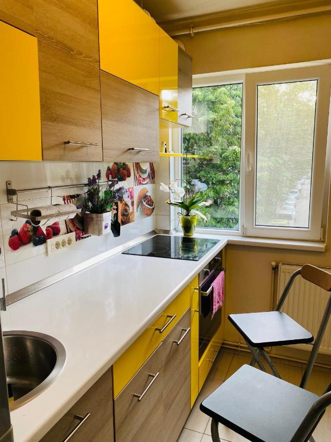 City Center Apartment Timişoara Extérieur photo