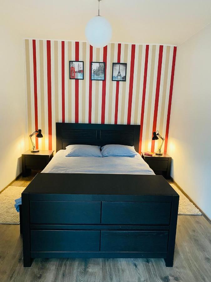 City Center Apartment Timişoara Extérieur photo