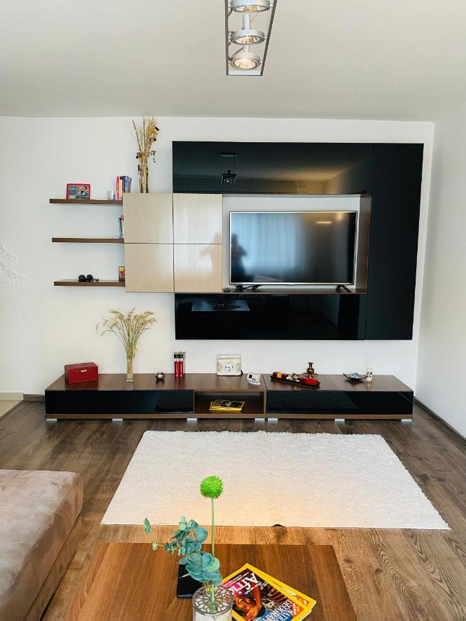 City Center Apartment Timişoara Extérieur photo